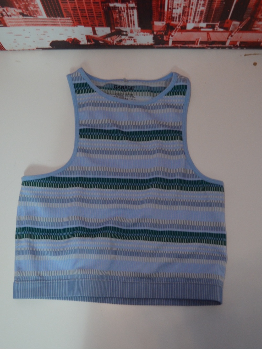 Garage Light Blue Striped Ribbed Crop Tank with Green Accents